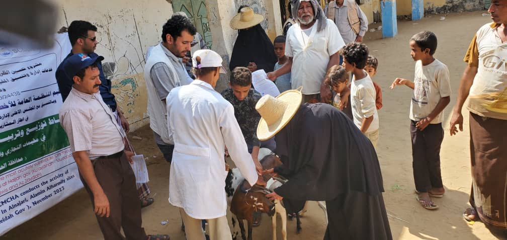 تدشين مشروع توزيع المواشي في مخيمات الأمين الحرملي والنجاري والرحمة بمديريتي القناوص والزيدية بمحافظة الحديدة